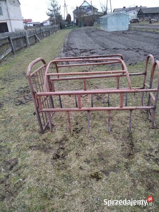 Kojec porodowy macior Łuków