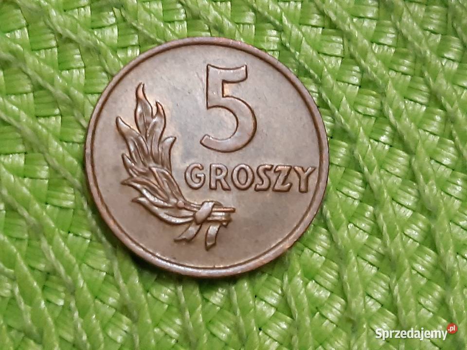 moneta polska 5 groszy z 1949r