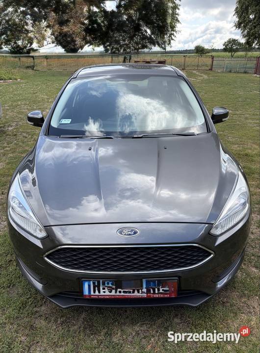 Ford Focus 2016 1596m3