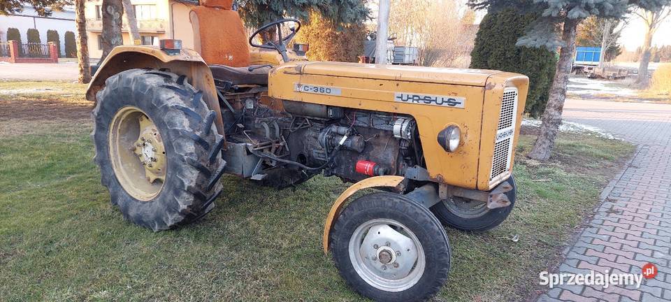 Sprzedam ciągnik ursus c 360 z 1985 Ursus Zbuczyn
