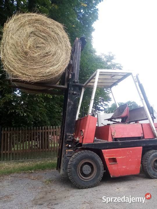 widlak Szklary Dolne