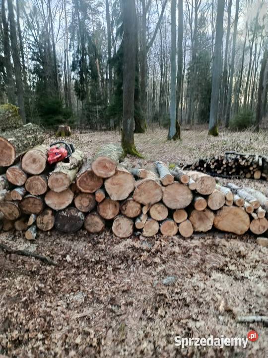 Drewno kominkowe Nowogrodziec