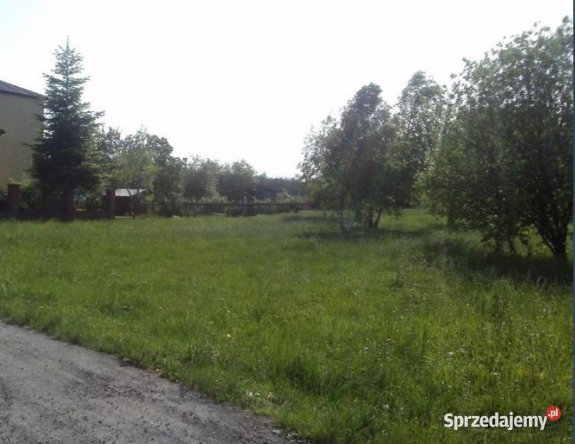 Działka budowlana i rolna Sprzedaż Gołuchowice