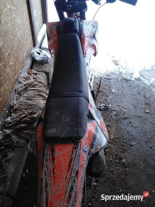 Diabolini 250 agb 39 Rok produkcji 2019 Diabolini sprzedam