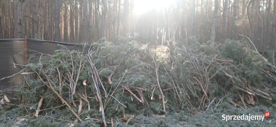 Gałęzie na opał mazowieckie Radzymin