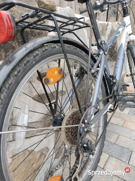Leopard space cat biało siwy rower chłopięcy Dziecięce Urszulin