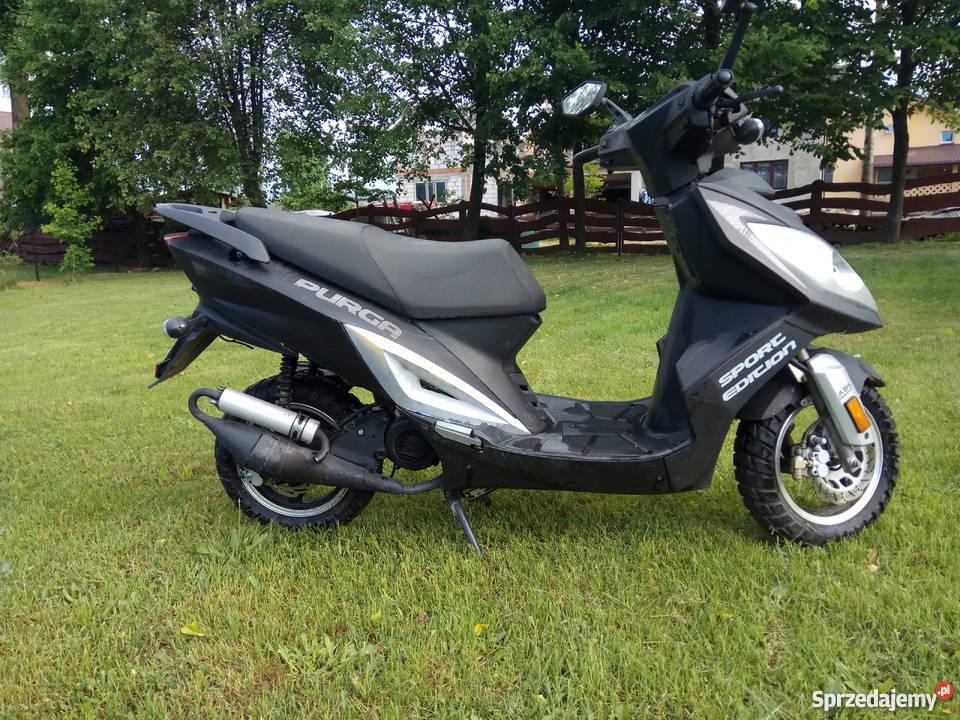 Skuter Kingway Purga 2t 50 l właściciel podlaskie Kuriany