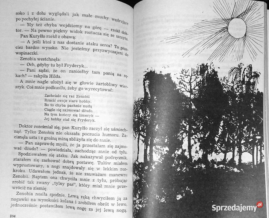 Księga strachów Zbigniew Nienacki Rok wydania 1987 sprzedam