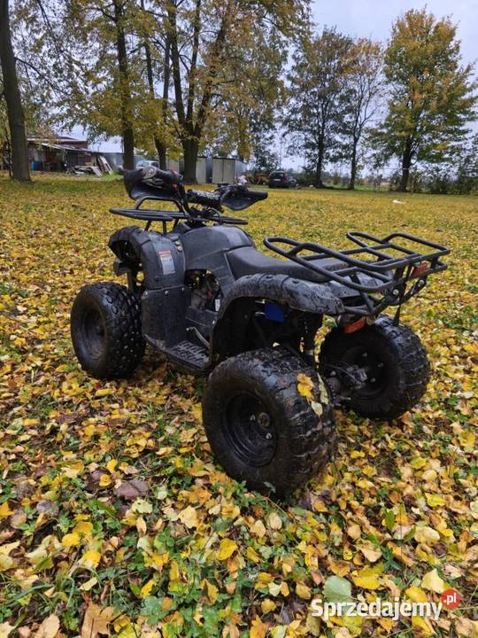 quada 125ccm wersja 3biegowa Pozostałe mazowieckie Gostynin sprzedam