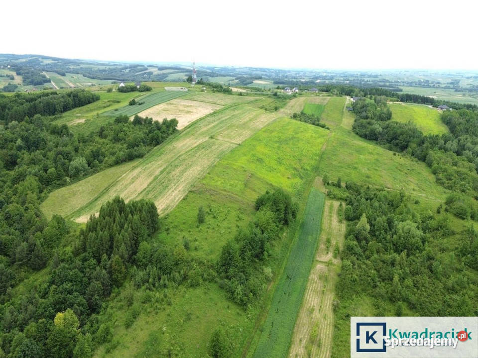 Działka Pruchnik Bieszczadzka 13463 metry