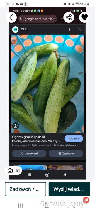 Kolekcjonerskie nasiona ogórków Gruzin 15sztuk i Ogród Głogów sprzedam