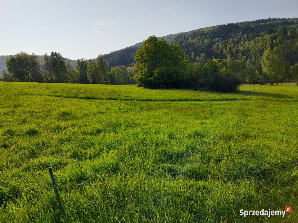 Działka rolna Rajcza Beskid Żywiecki widokowa