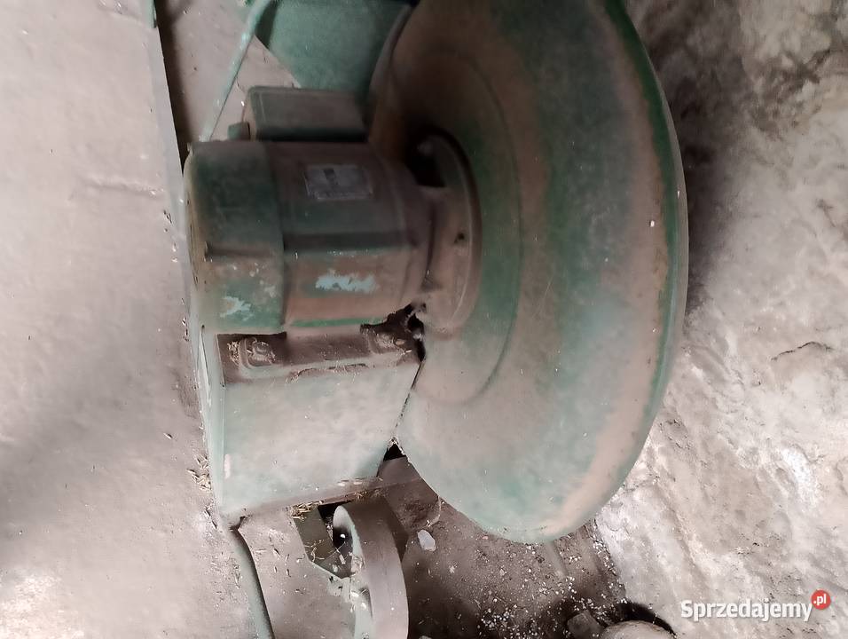 Dmuchawa do zboża kujawsko-pomorskie Suszewo