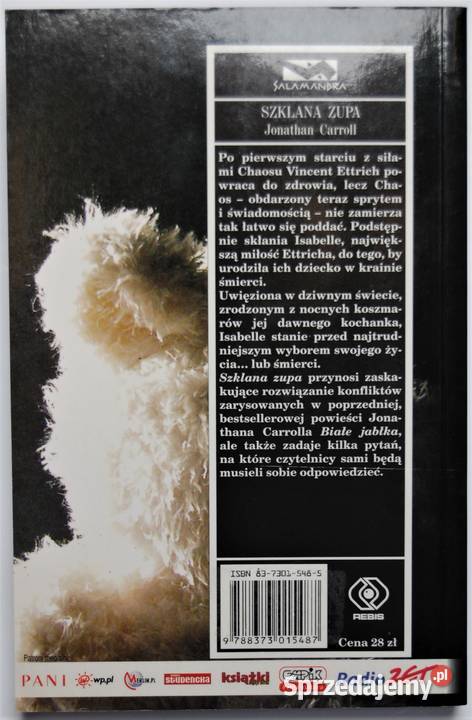 Szklana zupa Thriller Jonathan Carroll Proza i poezja