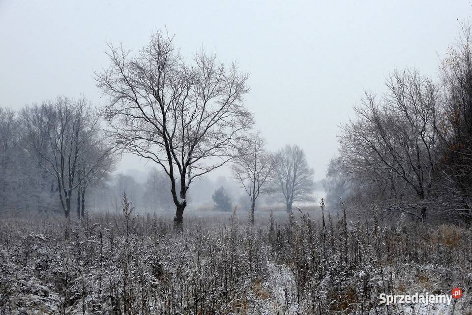 Nikon Coolpix A1000 16 Mpix 35x zoom opt 4K RAW Pabianice