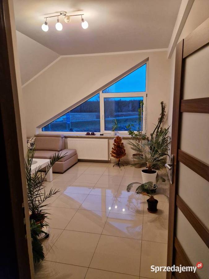 Lokal 20 m do wynajęcia idealny pod usługi alarm Nisko