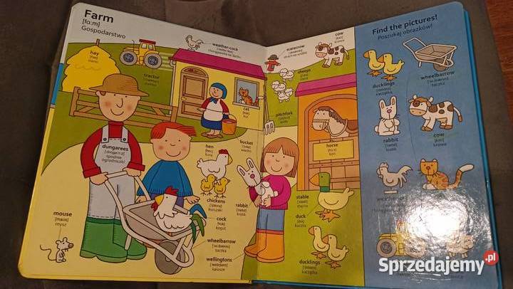 Książka ilustrowana Dzieci uczą się angielskiego podkarpackie