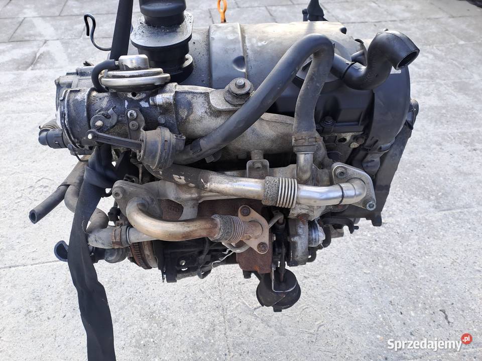 Volkswagen Sharan 19 TDi 115 silnik kompletny Rok produkcji 2008 Silniki kompletne