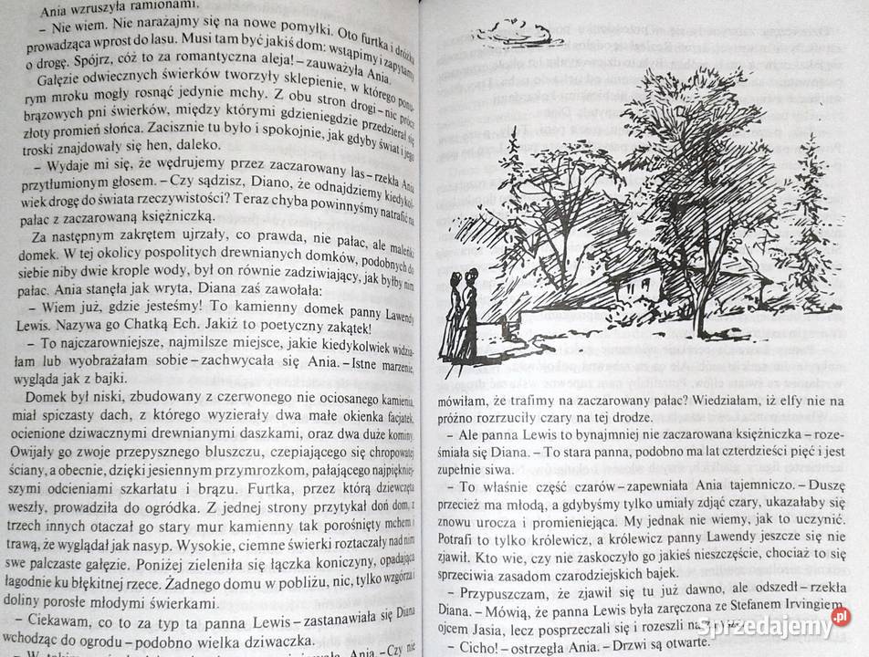 Ania z Avonlea Lucy Maud Montgomery miękka Chełm
