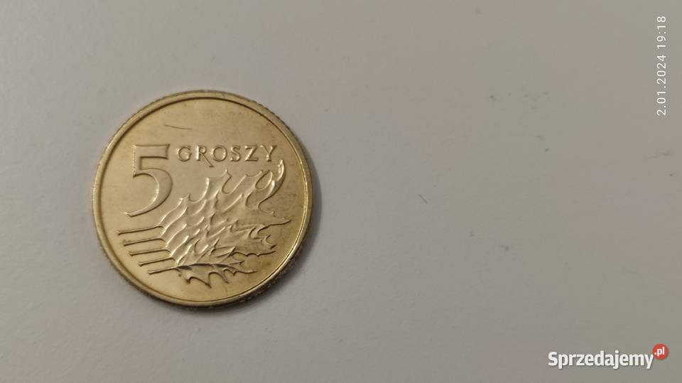 5 gr 2023 stan menniczy Koronowo sprzedam