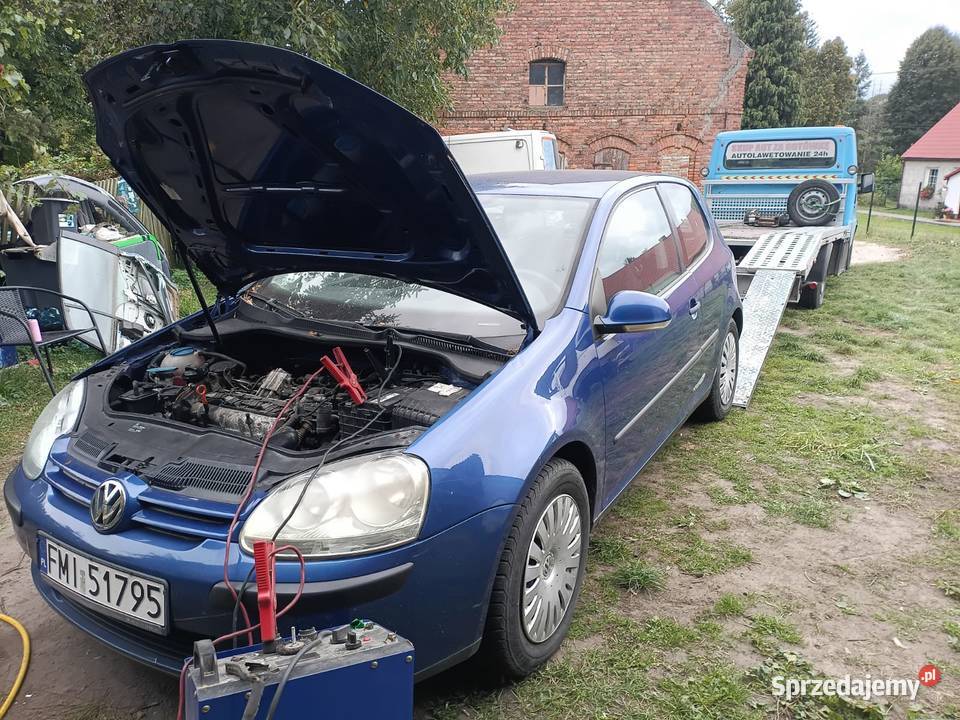 Zadbany golf 5 Ośno Lubuskie sprzedam