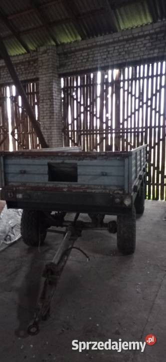 Wały posiewne Cambridge i nie opis Plecka Dąbrowa sprzedam