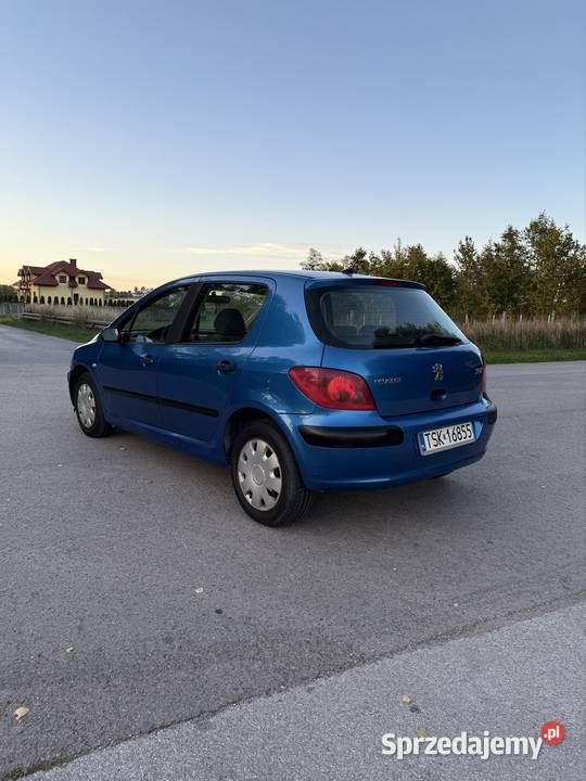 Peugeot 307 20HDI Radoszyce