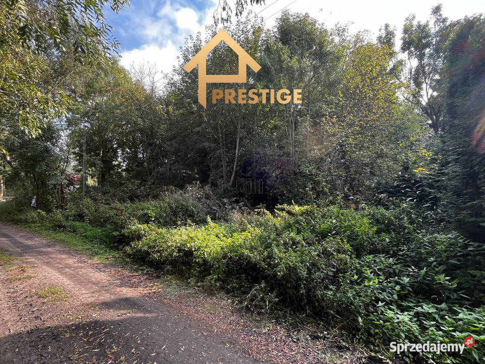 sprzedaż działka rolnazagrodowa Meszki gmŁosice sprzedam