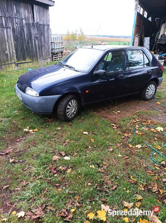 Ford Fiesta Turek