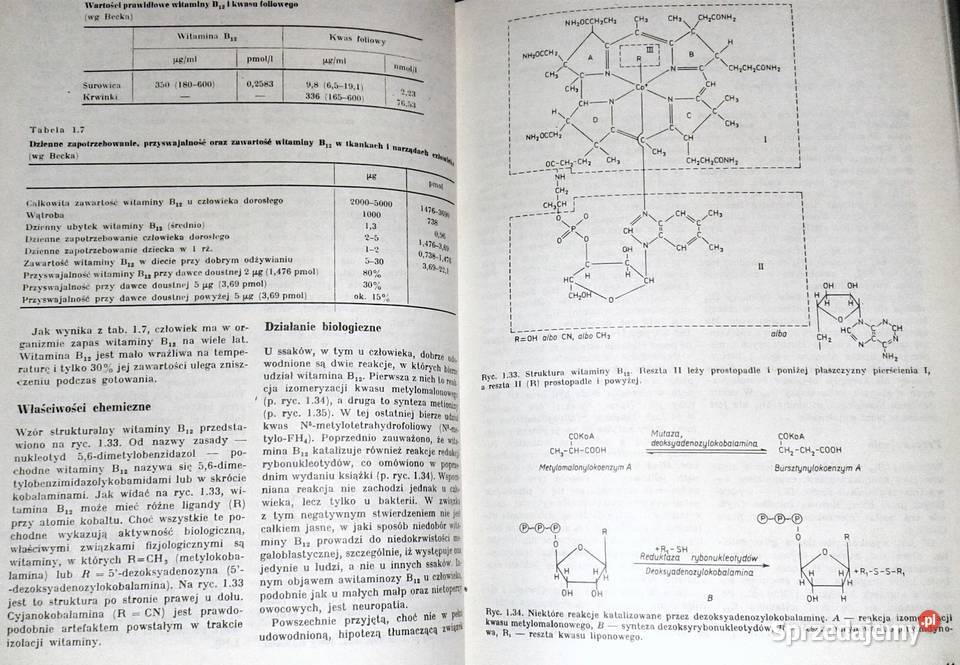 Nauka o chorobach wewnętrznych Tom 7 Witold twarda z obwolutą Chełm