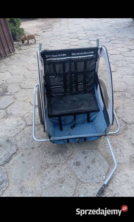 Riksza rowerowa dzieci Szczodrochowo