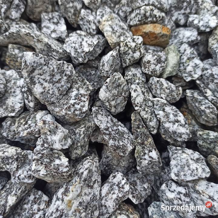 Grys Granitowy Dalmatian szary Kamień ozdobny