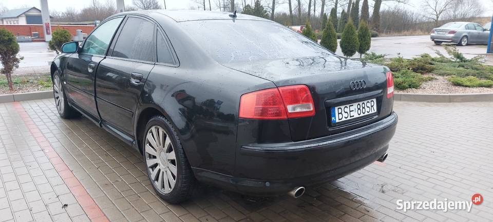 Audi a8 d3 42 zamiana 4200cm3 Sejny