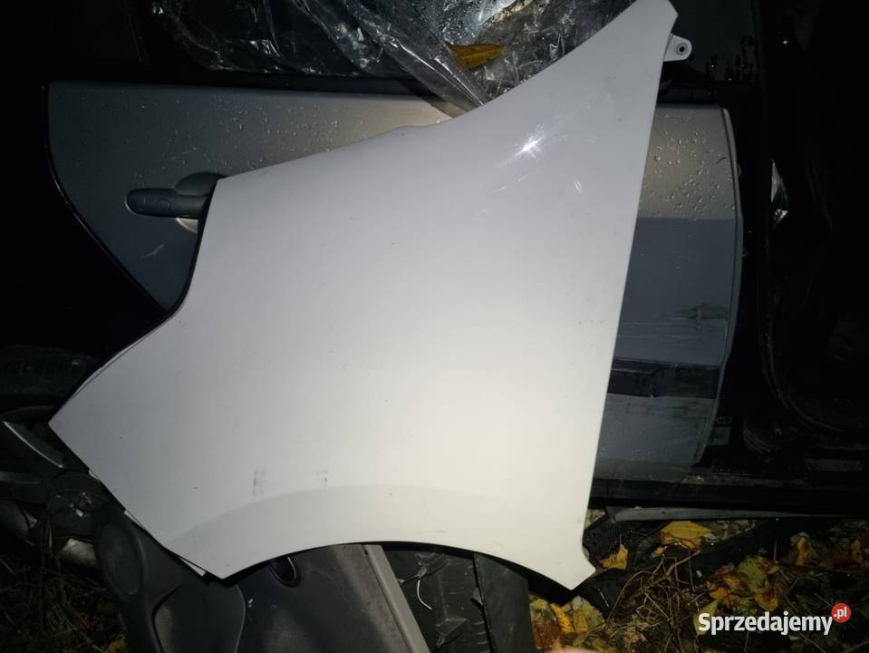 Reno Master 3 III Błotnik Lewy Przód Lewy Zestawy części blacharskich Skawina sprzedam