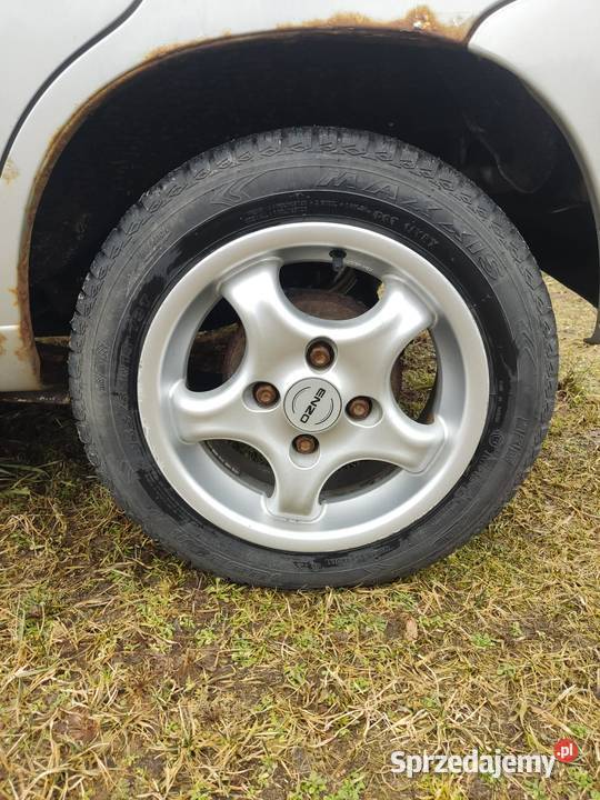 enzo cup 13 cult 126pcorsaunotrabi lubuskie