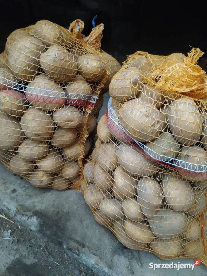 Sprzedam ziemniaki Podkonice Duże