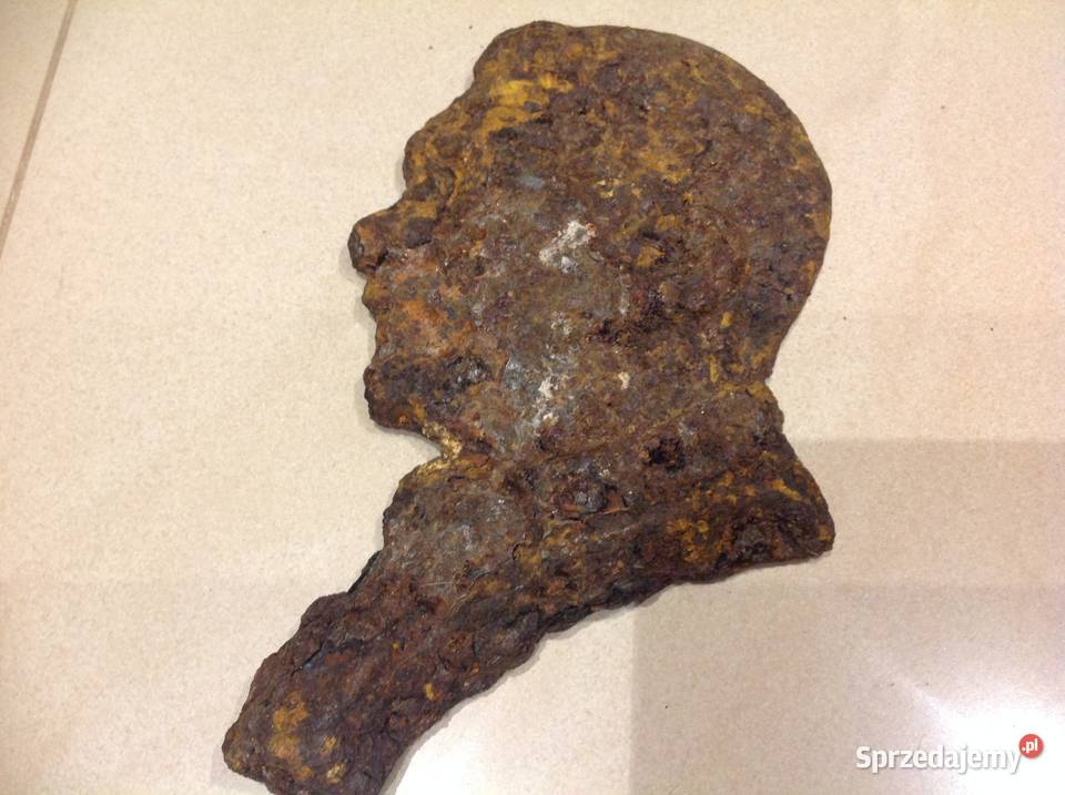 Popiersie Żeliwne Stare Nowa Sól