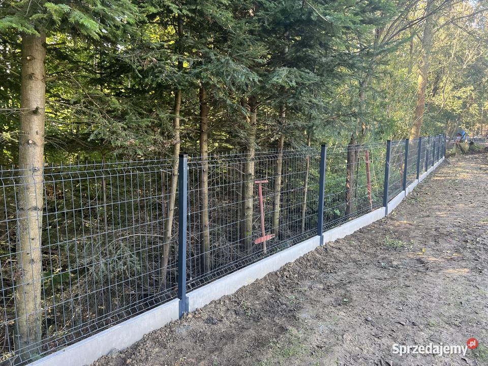 Ogrodzenia Panelowe Montaż Ogrodzenia i bramy Remont i budowa Waksmund