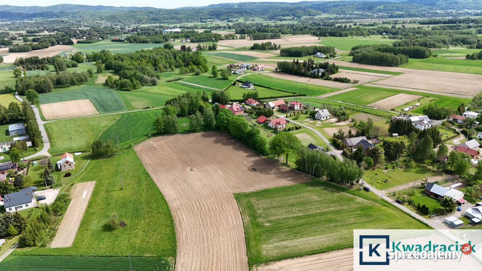 Grunt Jaszczew 1500m2 50zł/m2 podkarpackie