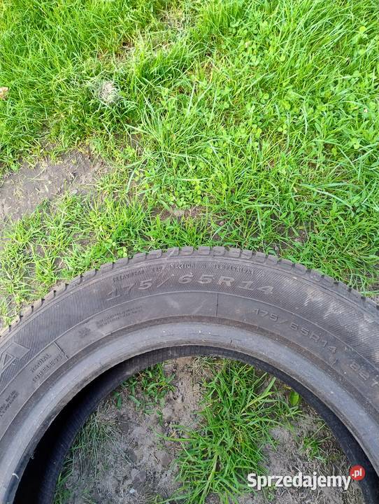 Opony Dębica Passio 175 65 14 Malżyn