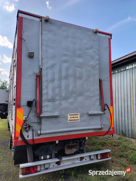 iveco stralis do żywca do zabudowy 10000cm3 Ostrożanka