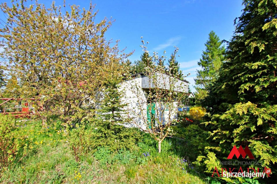 Ogłoszenie działka Włocławek 294m2 Sprzedaż