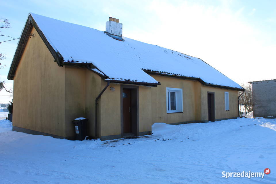 Siedlisko w Silcu dom jednorodzinny na sprzedaż asfalt Silec