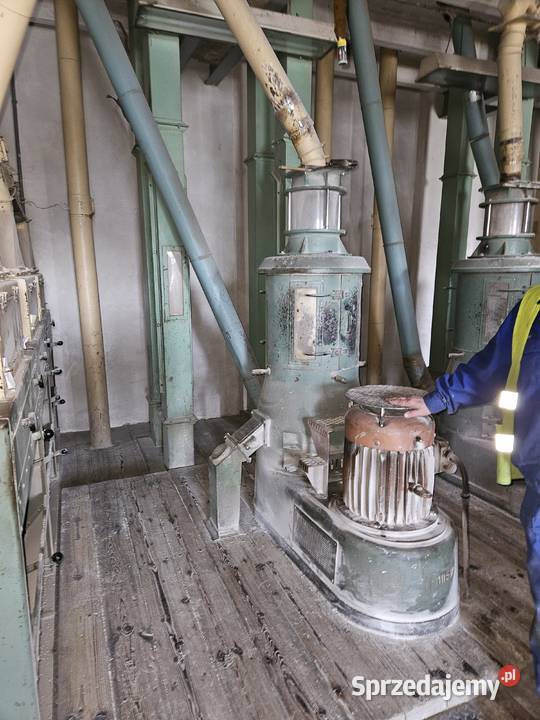 ekonosy wielkopolskie Międzychód