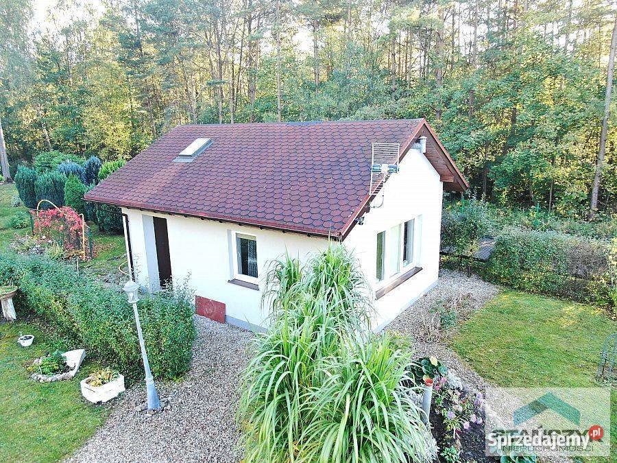 Dom wolnostojący Czarnogłowy 135m2 2300m2 Sprzedaż Sprzedaż zachodniopomorskie