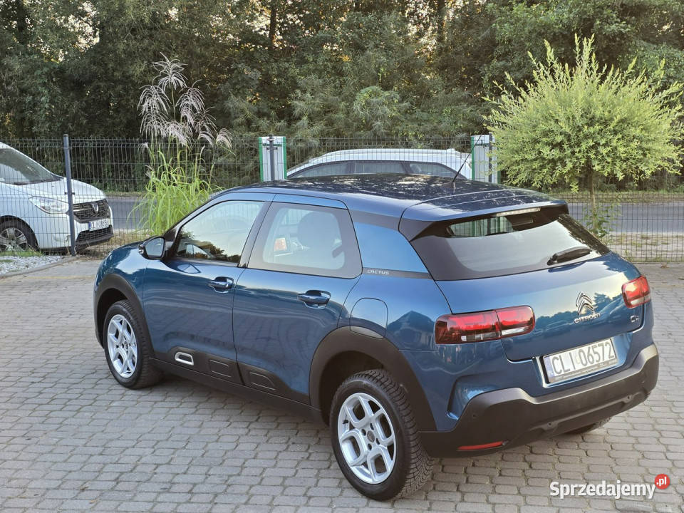 Citroen C4 Cactus 15 BlueHDI 102 SS NAVI ZADBANY Skępe