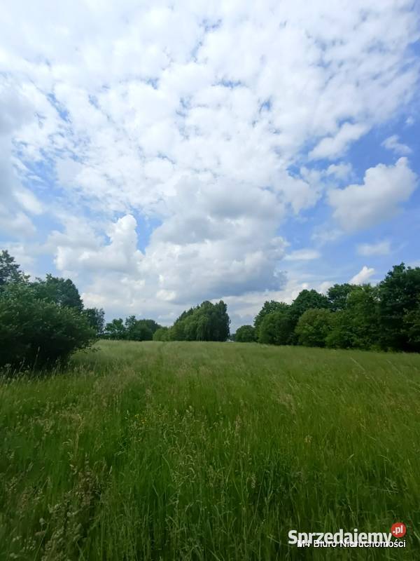 ŁADNA DZIAŁKA W ŚWIERZOWEJ POLSKIEJ 24 AR podkarpackie Krosno