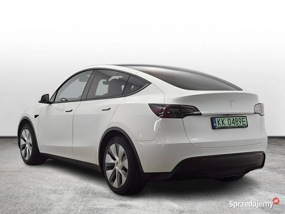 Tesla Y Long Range RWD Z Polskiego Salonu nieuszkodzony