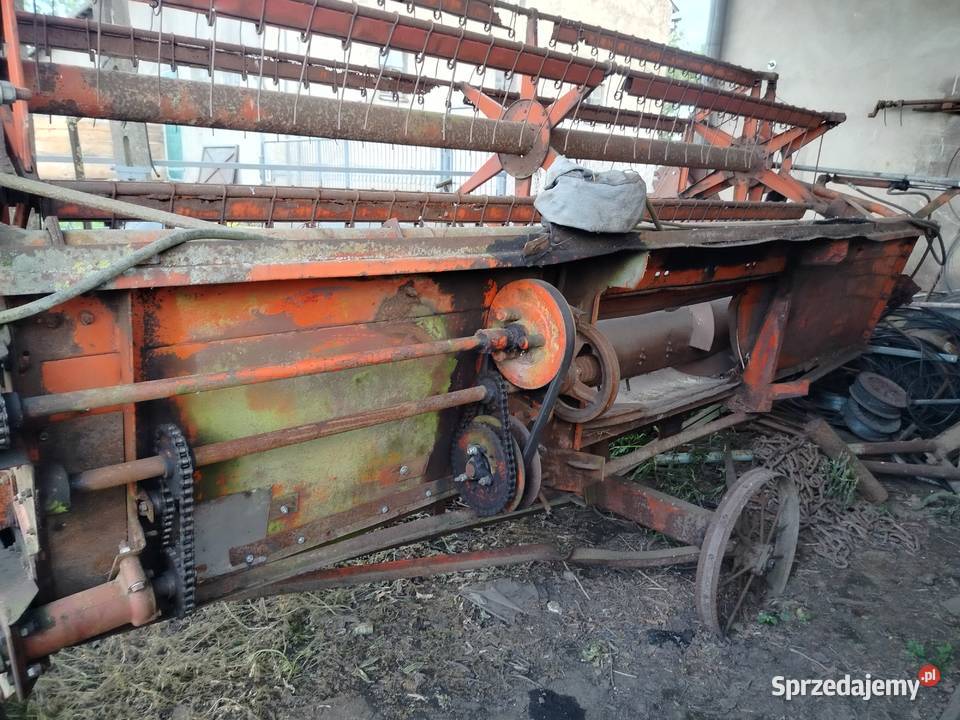 Heder stł rzepaku bizon Z056 Koronowo