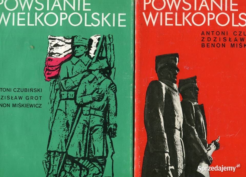 Powstanie Wielkopolskie 19181919 Zarys dziejów 2 Szczecin sprzedam
